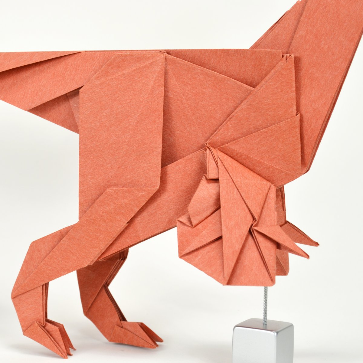 Anzu wyliei
Designed by me 2025/2026