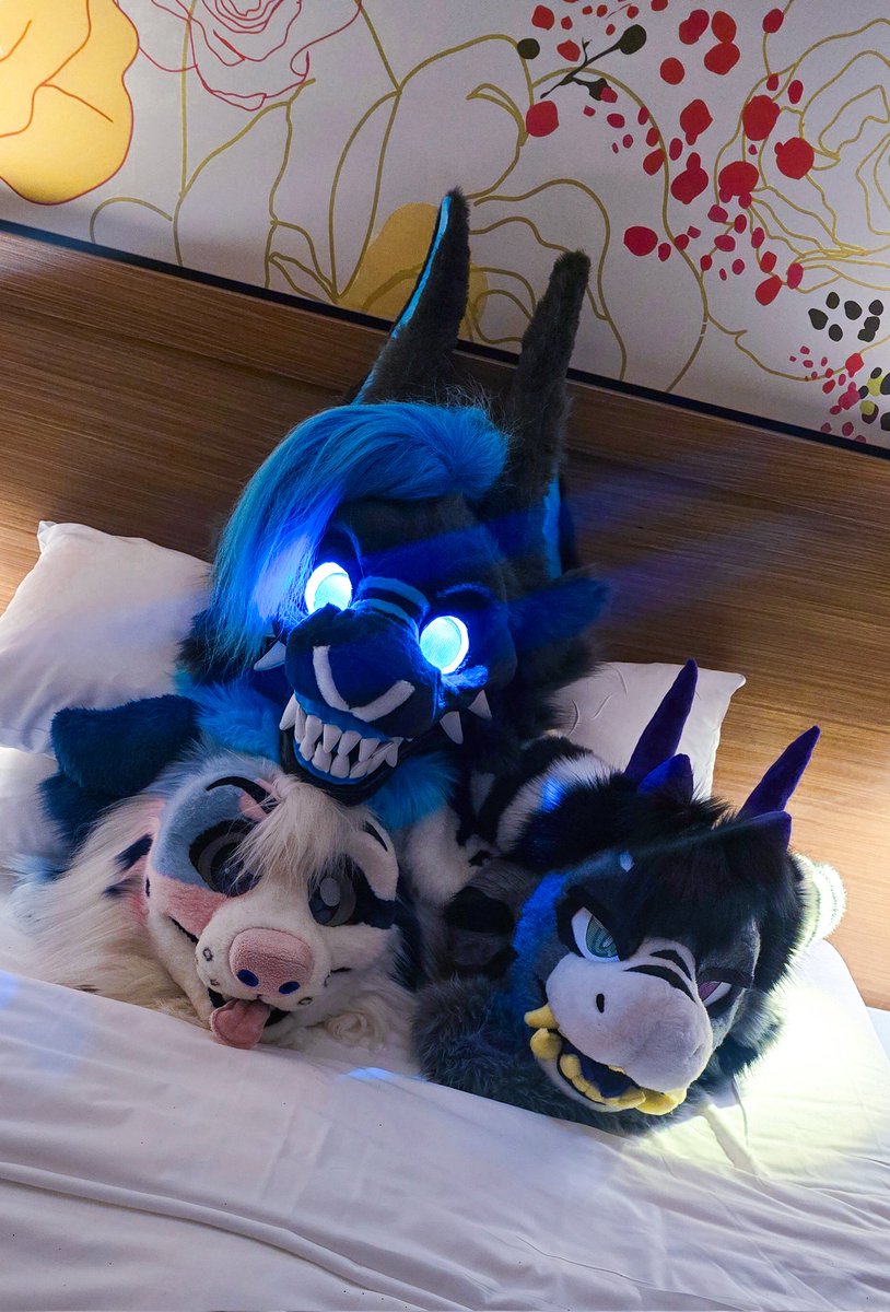 MUTE_GOES_CLICK's tweet photo. Obligatory fursuit on bed post c:

Looking forward to seeing peeps at nfc tomorrow!! https://t.co/tdI0n2A8qP