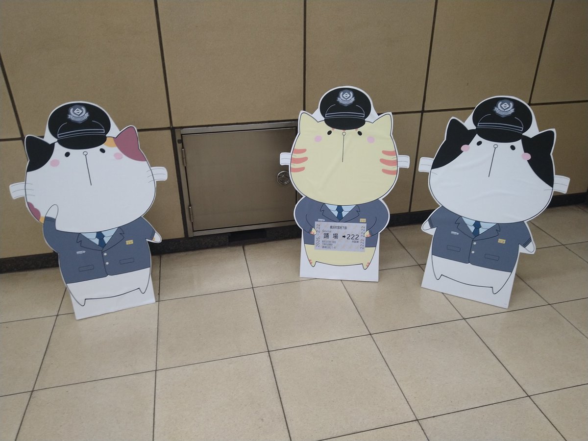 りんりん (@rinrin4919) / Posts / X