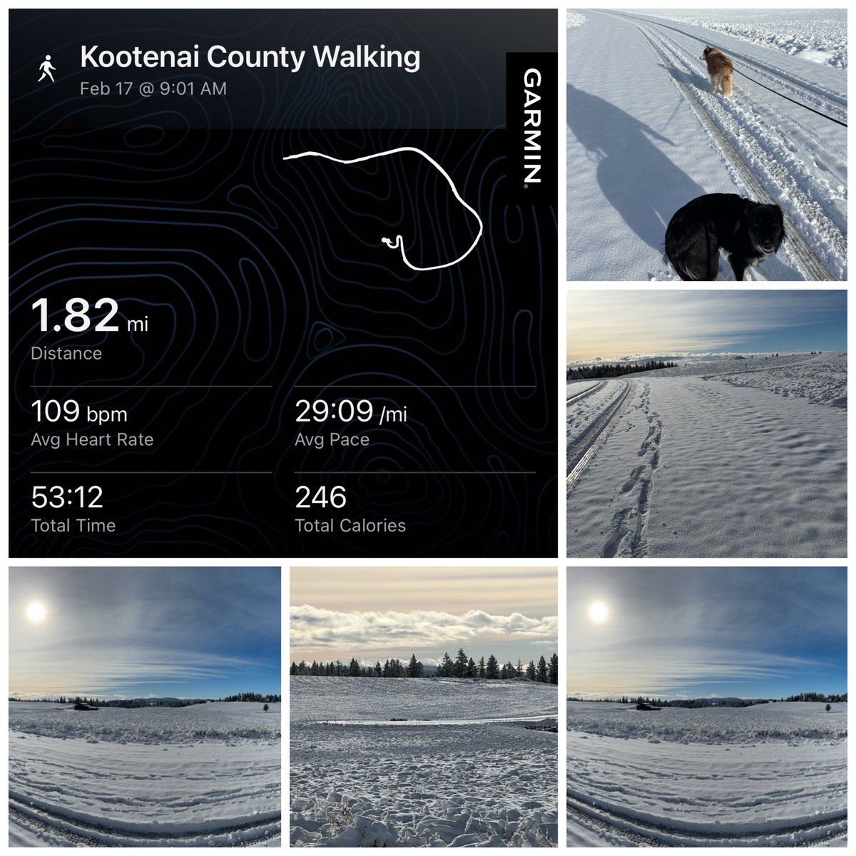 oneillgrace's tweet image. A dose of Vitamin C and steps in the snow with the 🐶 🐕 🐾 #100daychallenge #FitLeaders #StrongerEveryDay
@PrincipalRoRod @zjgalvan @Asael_Ruvalcaba @DrRenaeBryant @ValChavez2018 @fit_leaders @LorenaRubio123 @GracianRefugio