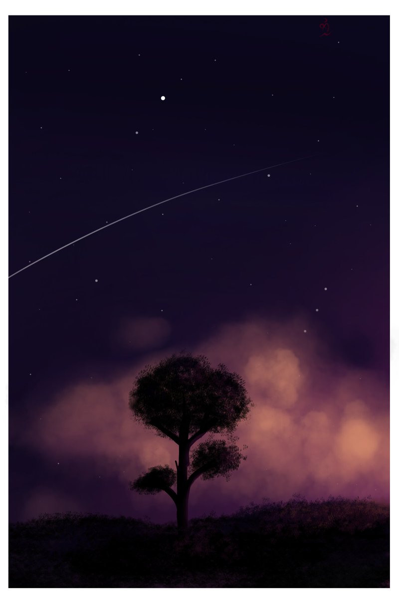 Fondito de volon pinpon 😺