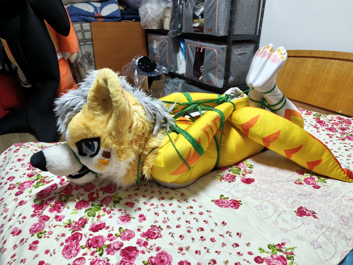 福尔马林鱿鱼酱 tweet media
