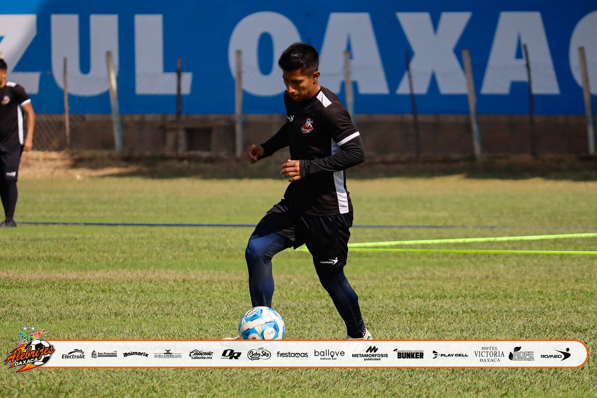 Alebrijes Oaxaca tweet media