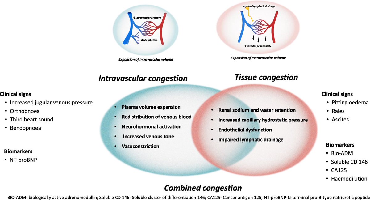 Congestion in acute heart failure: a moving target in transition

#EHJ <a href="/ESC_Journals/">European Society of Cardiology Journals</a> <a href="/ARakisheva/">Amina</a> <a href="/JanBiegus/">Jan Biegus</a> 

academic.oup.com/eurjhf/advance…