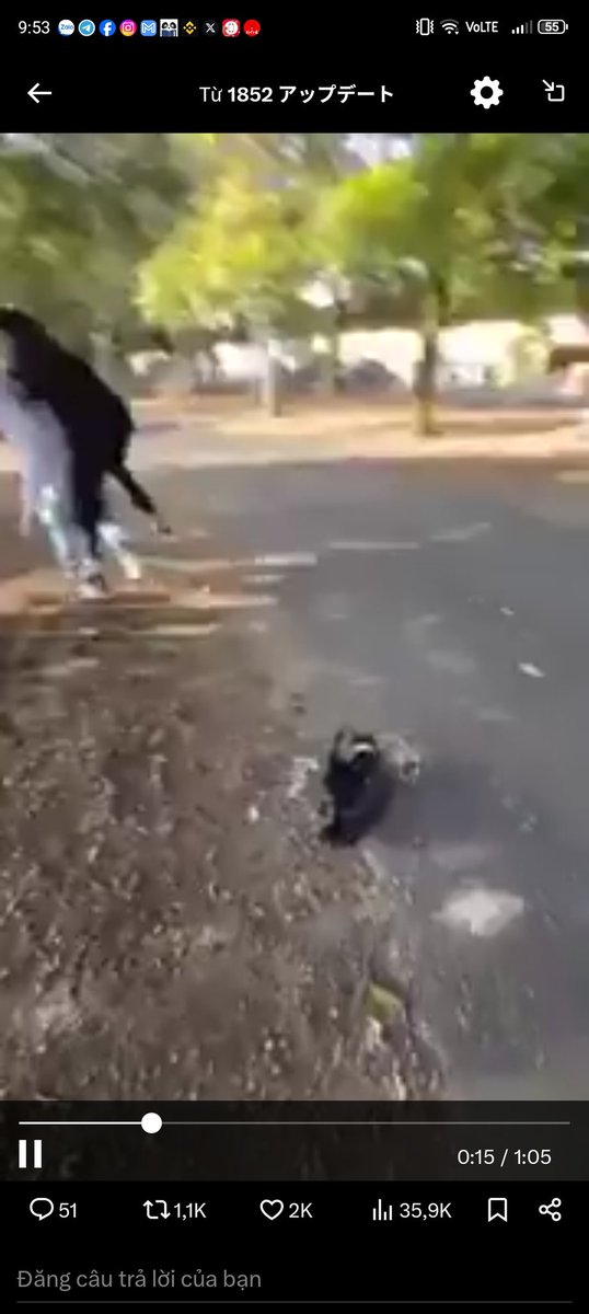 I am meme tweet media