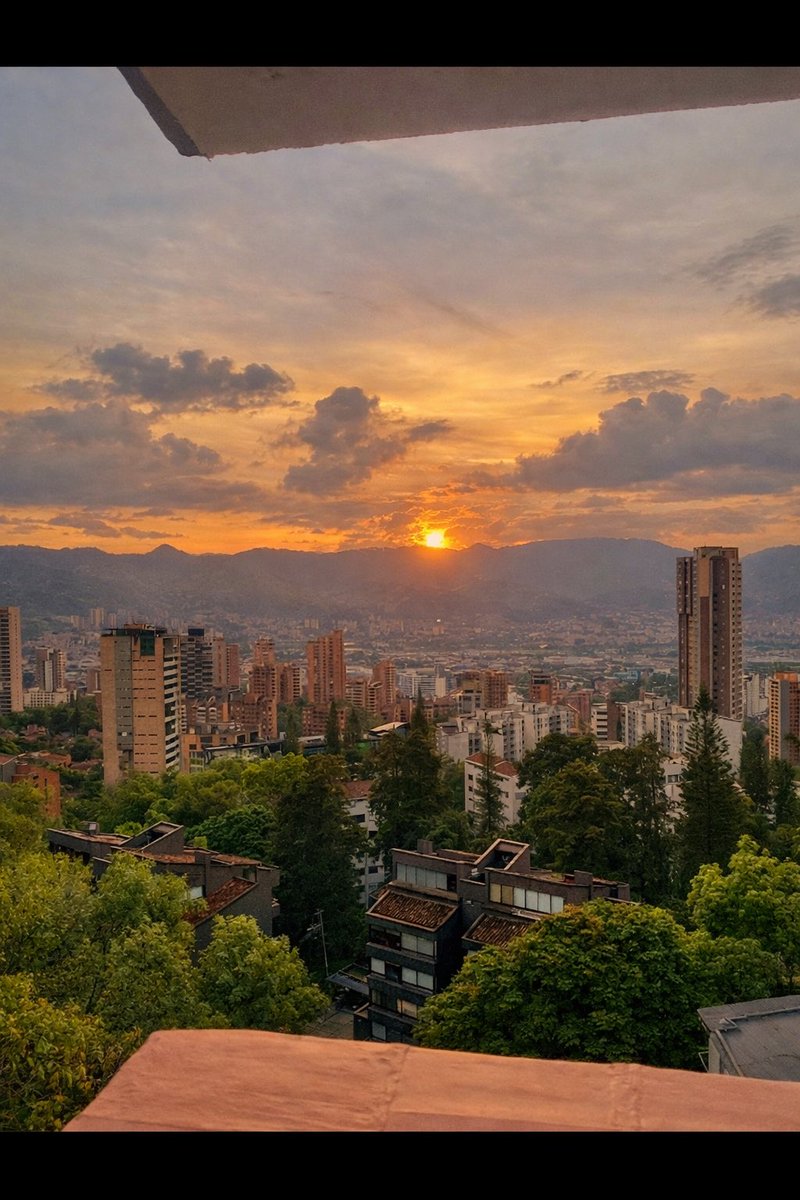 🧚🏼 tweet media