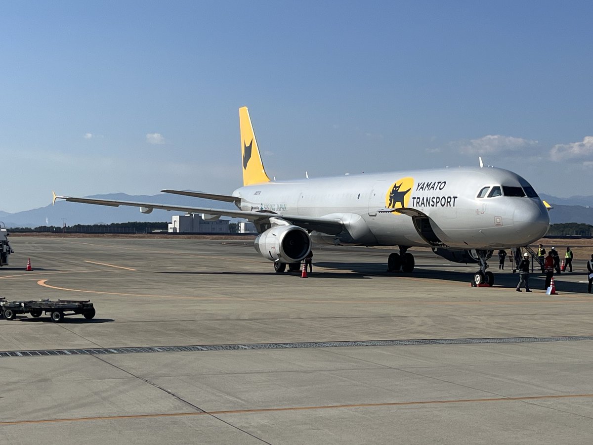 AIRBUS A321-231(P2F) JA81YA @ TKS