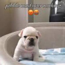 BreadEaterPeter tweet media