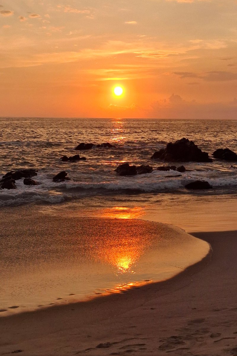 Tania Tagle tweet media