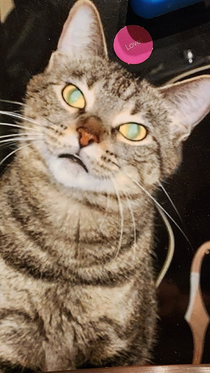 Crazy that it's been 3 years Cleo... feel like you were just here yesterday... was a great 18 year run