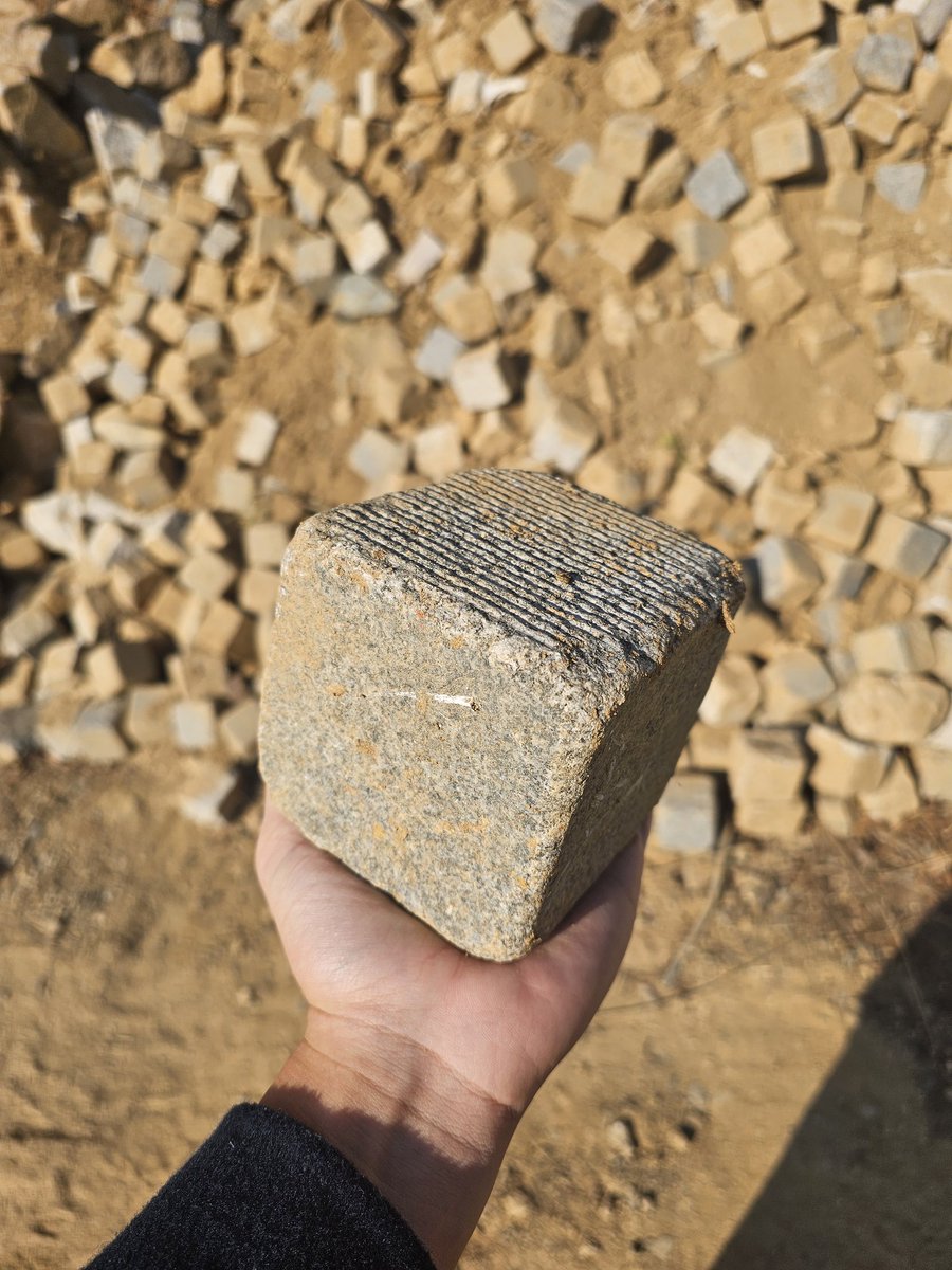 프리그 | 3월부코 토요일 tweet media