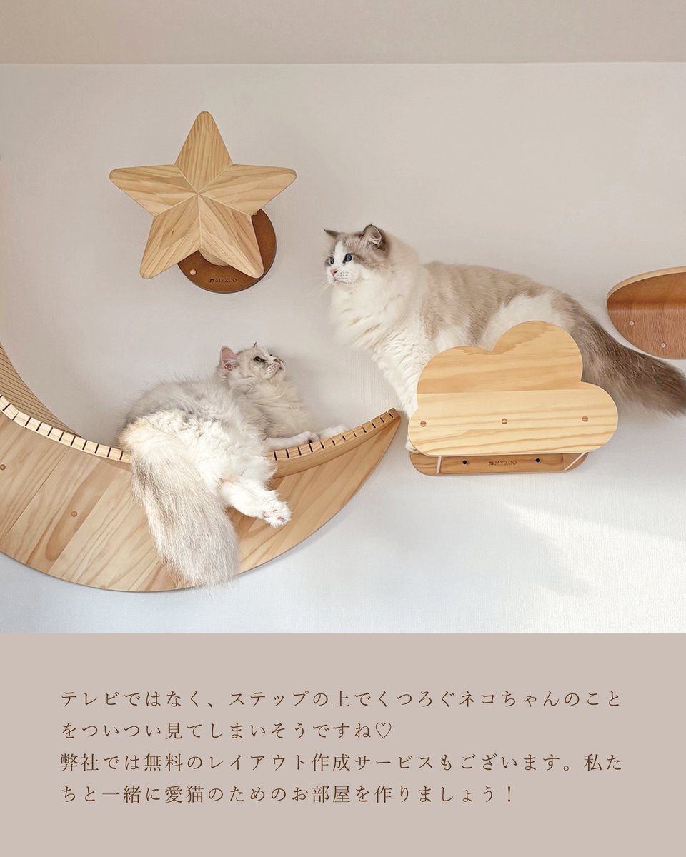 MYZOOキャットステップ＞ ・STAR×1 ・LUNA×1 ・MOKU×1 ・ROUND LACK