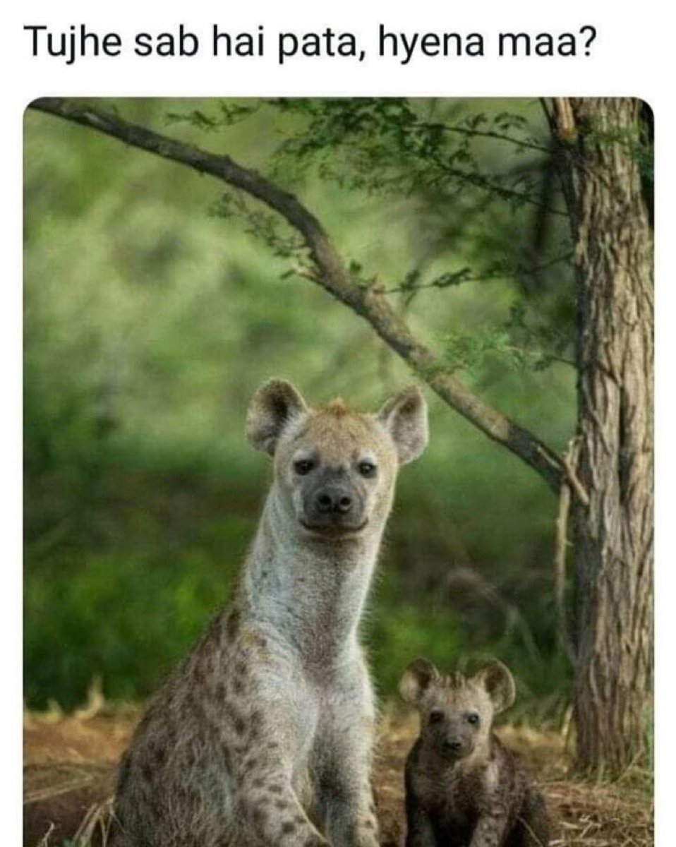 •First Dé First Sho• (@thesolutionbaba) on Twitter photo 