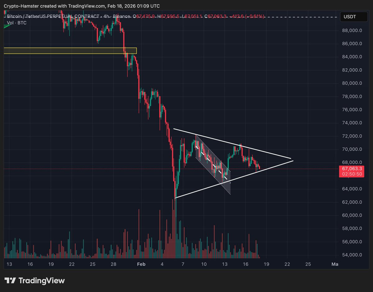 CryptoHamster tweet media