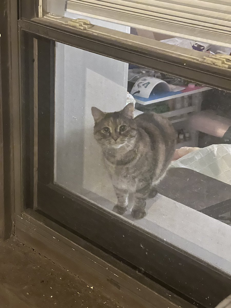 marble 🎱🐝 tweet media