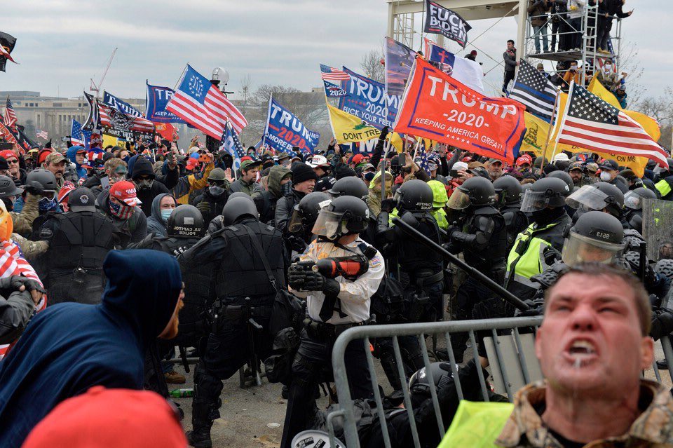 A Pox On Both Their Houses tweet media