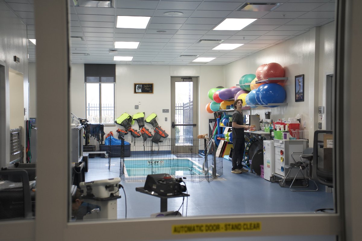 Senator Jim Banks tweet media