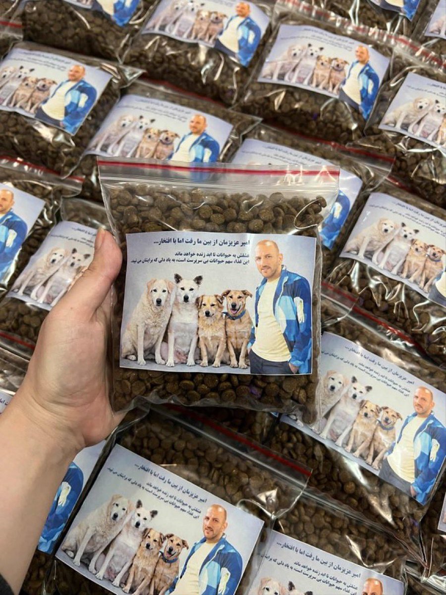 Amir Shokouri was an animal lover. At his 40th-day memorial ceremony, his family prepared and distributed packages of dry food for stray dogs.

*Amir Babashokouri was killed in Lahijan on the Jan 8th massacre.