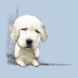 ᵔ ⩊ ᵔ💕 tweet media