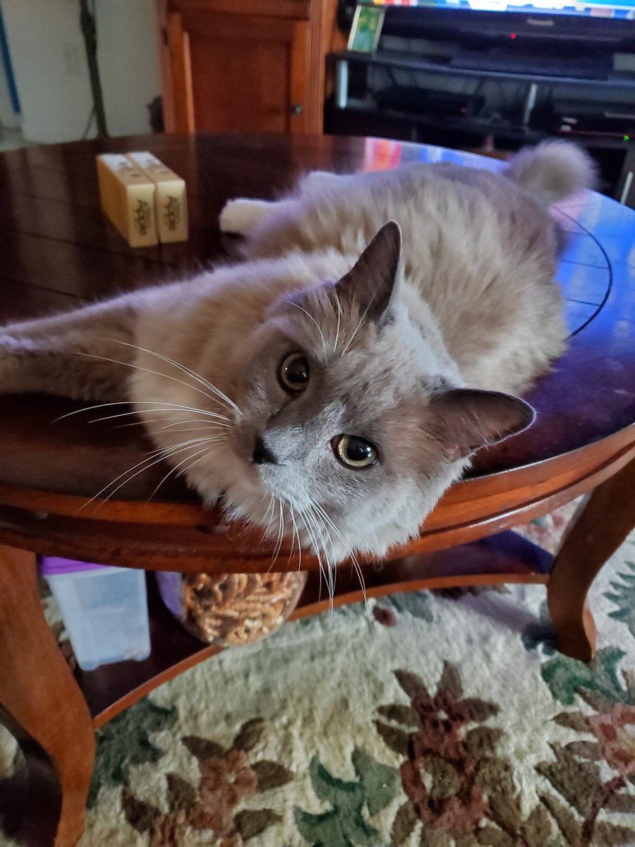 justanurse tweet media