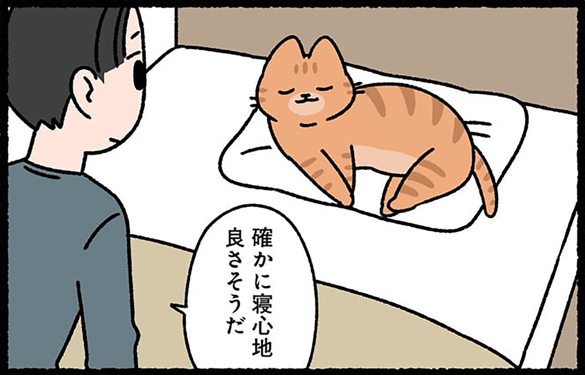 本日、2月18日は「#安眠の日」です。 
#ぱんだにあ 先生の『#ねこのおしごと』では、ねこと人間がなかよく寝ています。
コミックスのご購入はこちら︎︎︎︎︎︎▶︎https://t.co/xjtsX3DGJT 
