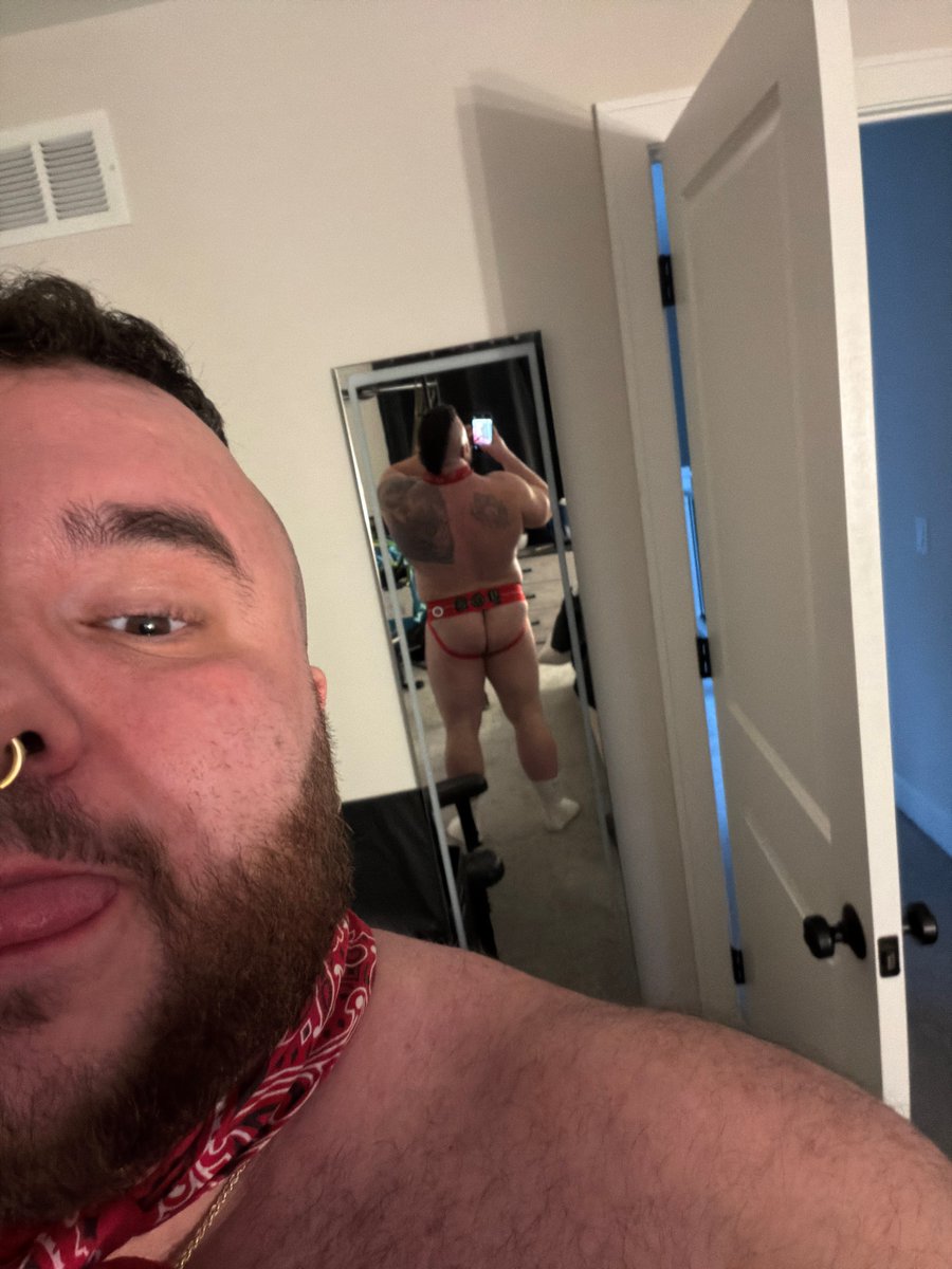 Scout the Stout tweet media