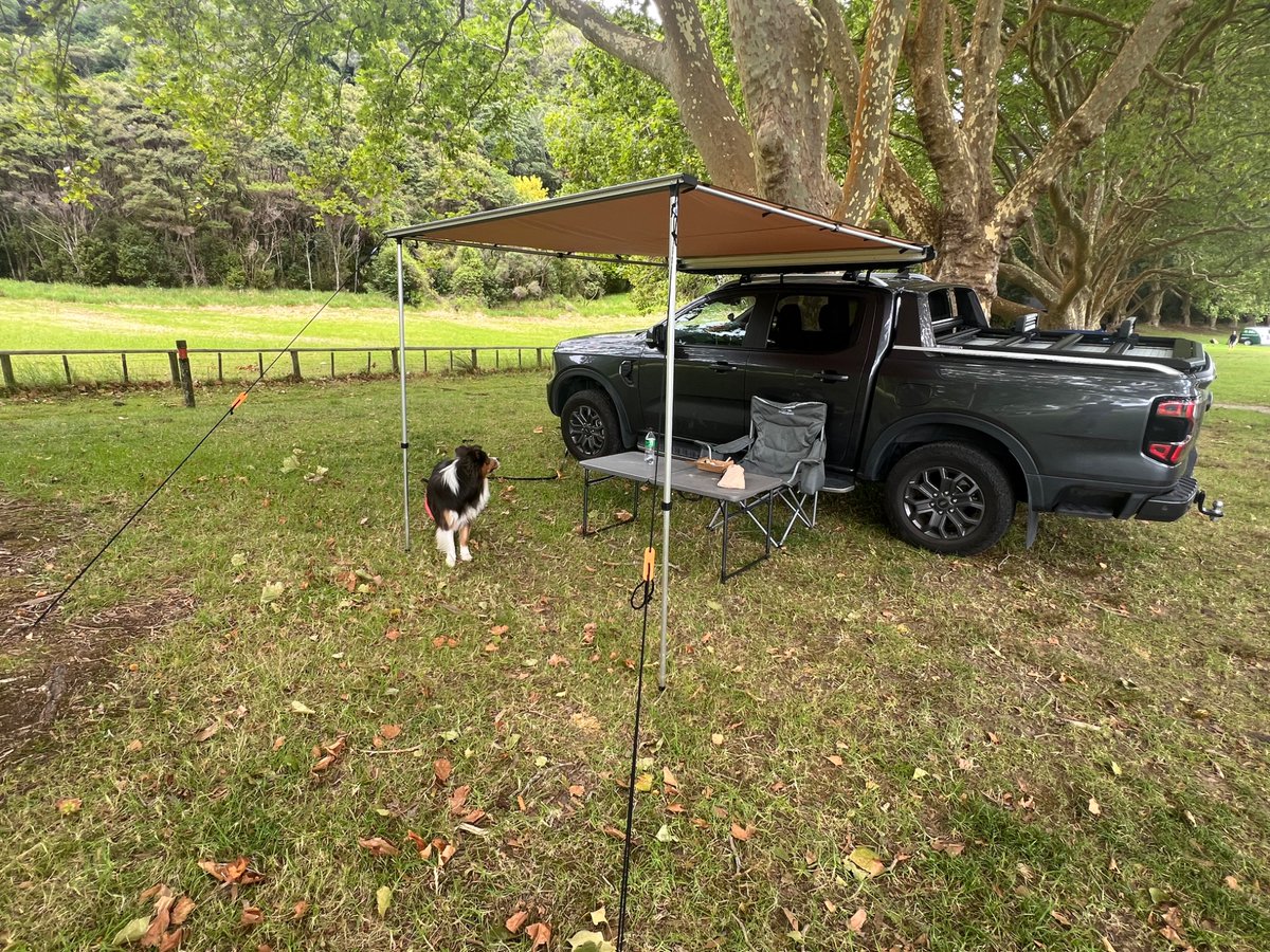 Nicolás Schürmann tweet media