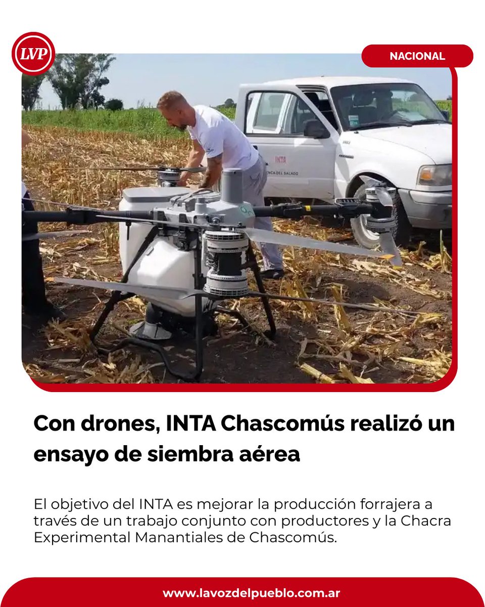 El INTA Chascomús realizó un ensayo de siembra aérea de raigrás anual sobre maíces tardíos destinados a utilización ganadera, integrando herramientas de agricultura de precisión para optimizar la producción forrajera en la región.
lavozdelpueblo.com.ar/con-drones-int…