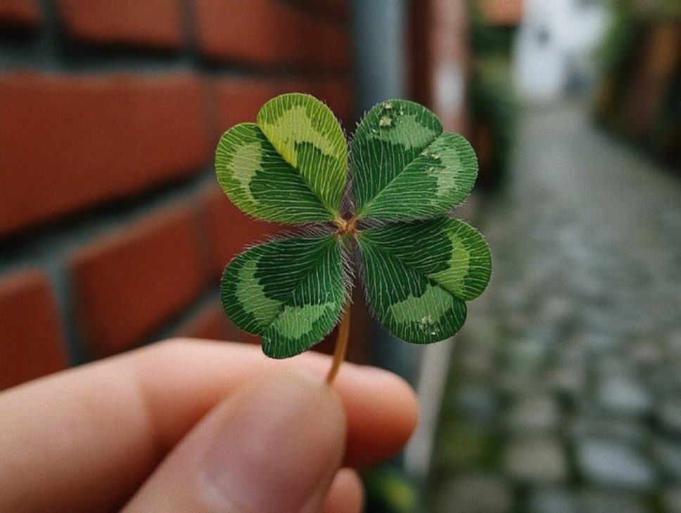 千鶴｜静かに視る人生導き tweet media