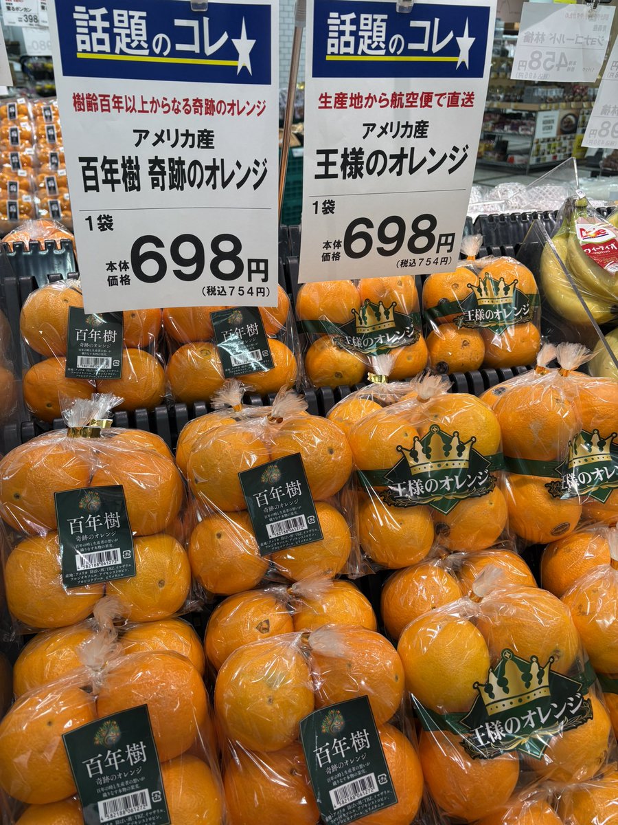 百年樹の #奇跡のオレンジ 🌳 #王様のオレンジ 🤴 こちらも大人気です