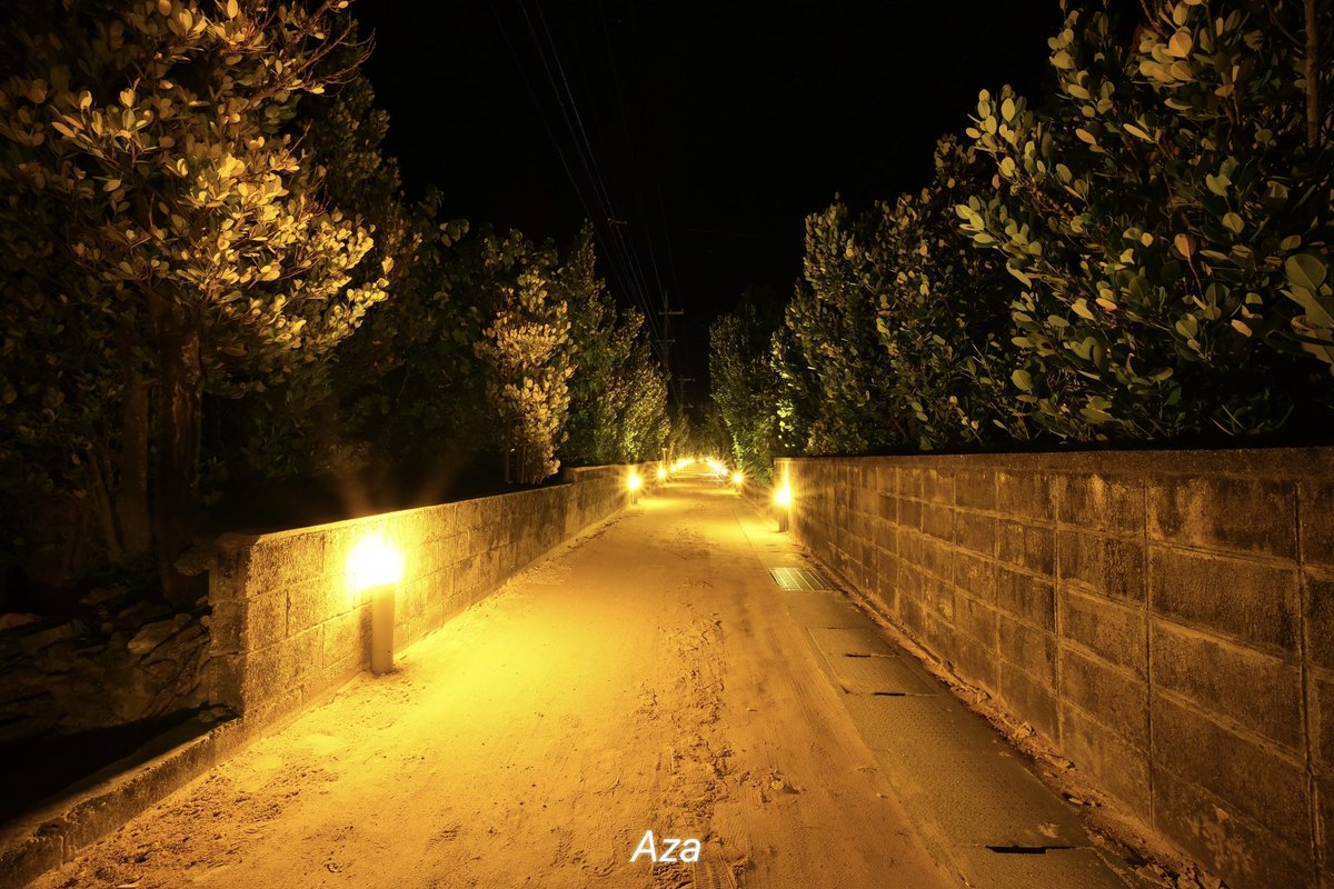 あざ🐘沖縄のドローン業務サポーター⌘ | 沖縄離島空撮人🏝️| 写真家📸 tweet media