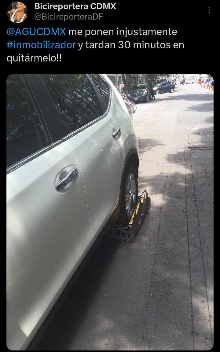 Arnes Manuel aus den López Haag tweet media