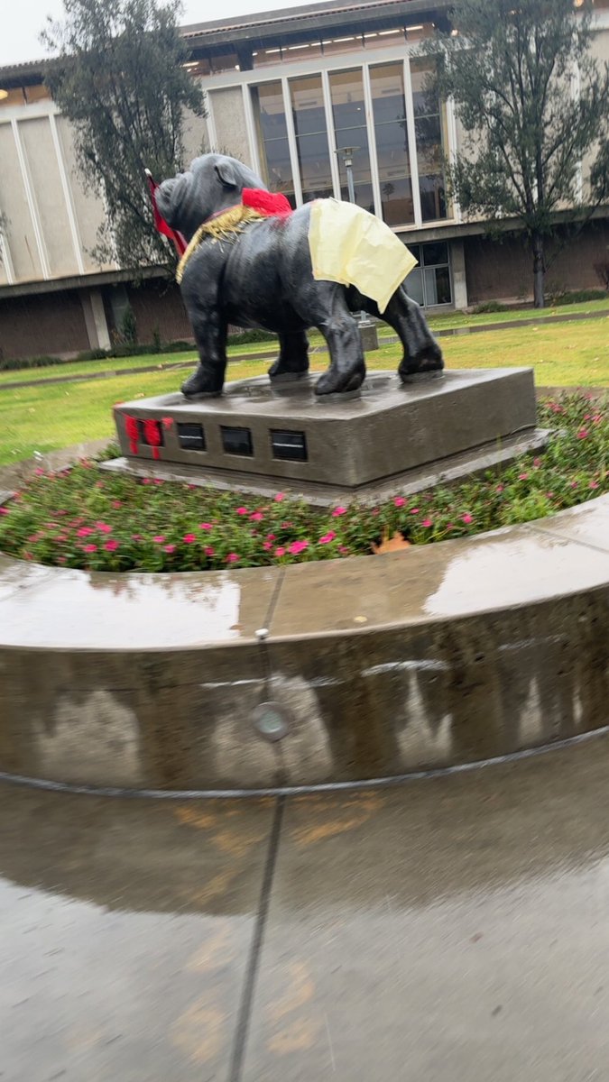 Blake Rahn tweet media