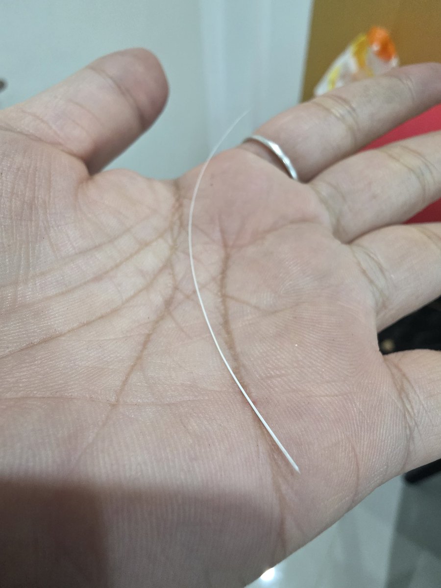 แมวฉันสลัดหนวดให้ เพิ่งเคยเจอครั้งแรกเลยอ่ะ เคยได้ยินว่าจะมีโชคจริงไหม น้องให้โชคเหรอ