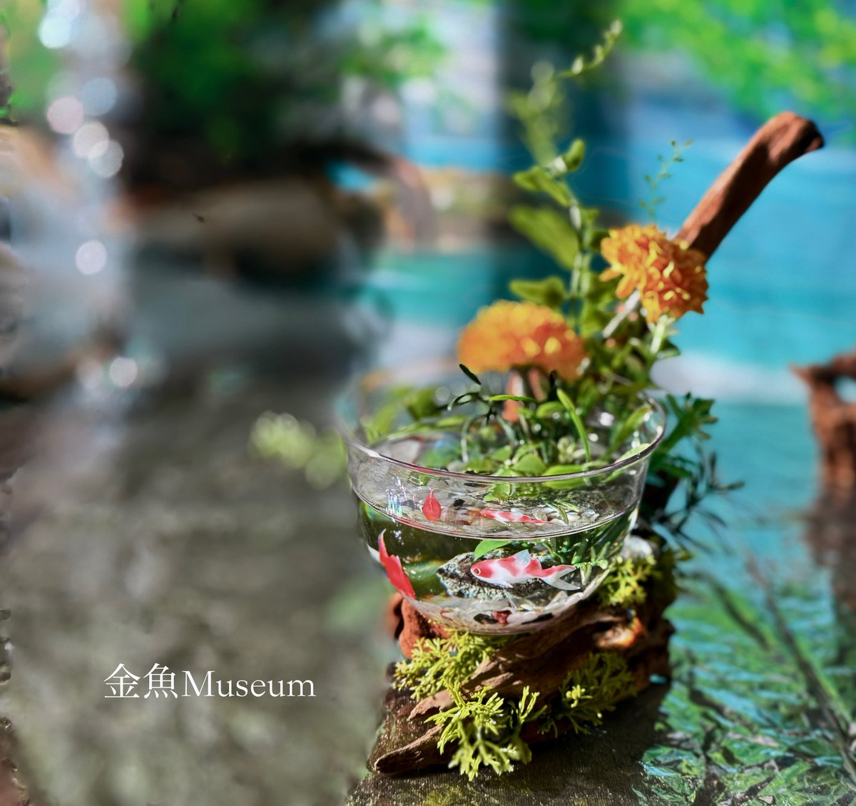 春の水槽🥰✨ 新作一点物いろいろ制作中です٩( 'ω' )و …………… 2026.3/20