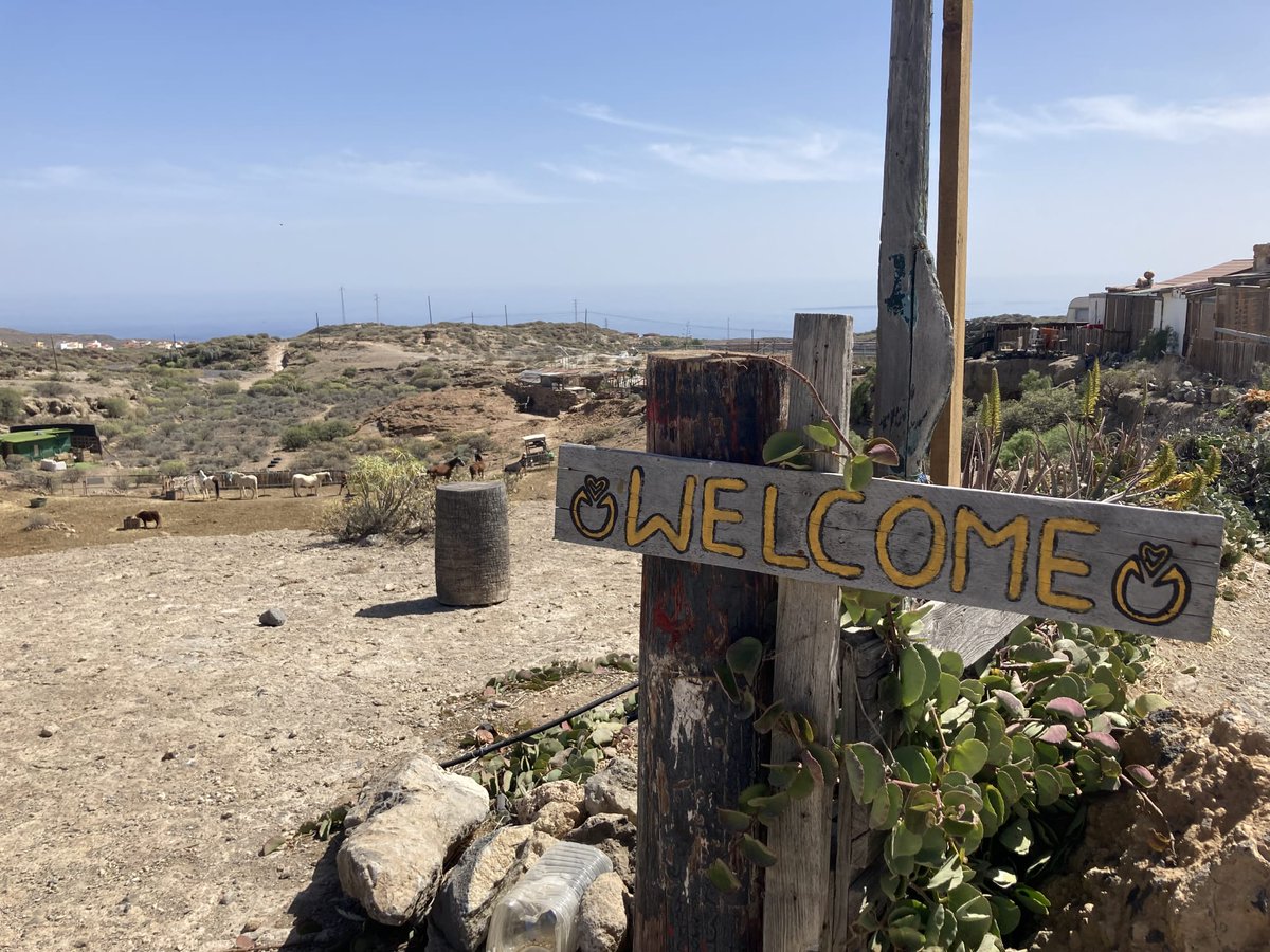Canary Islands Green tweet media