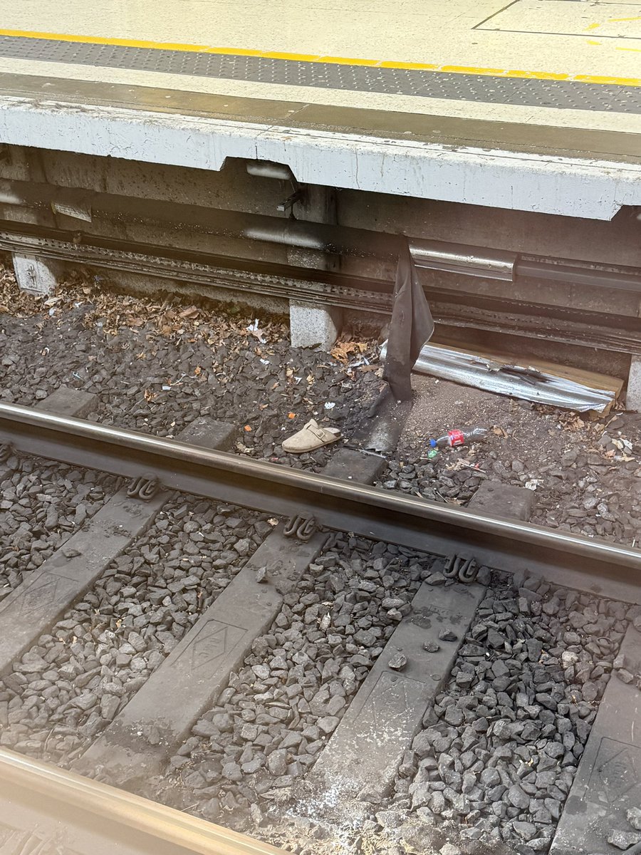 Paul Whitehead tweet media