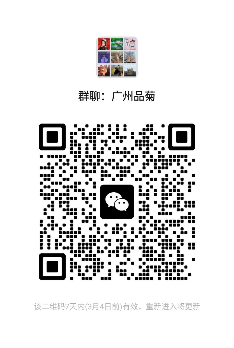 LIN GUO tweet media