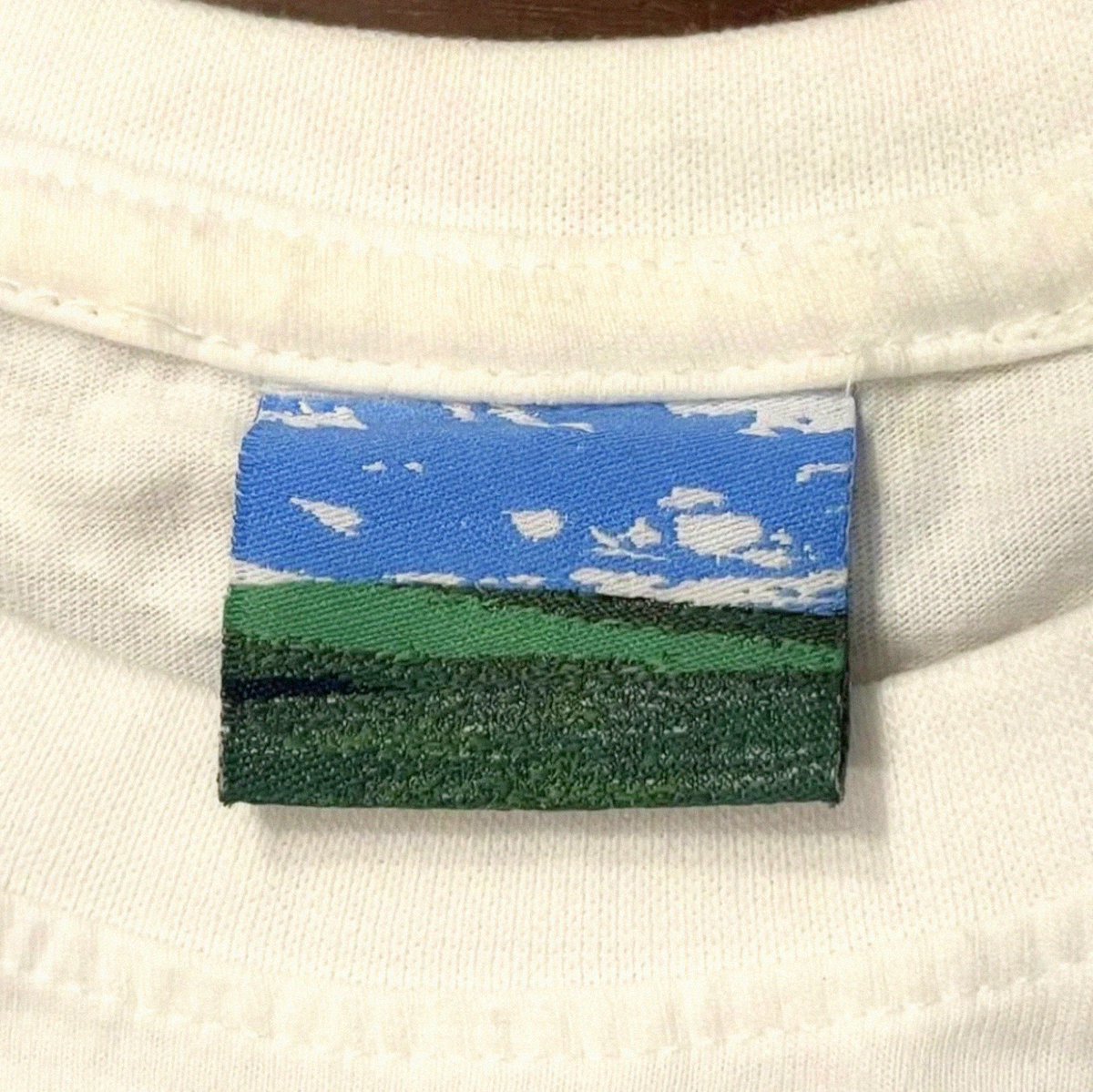 Ramin Nasibov tweet media