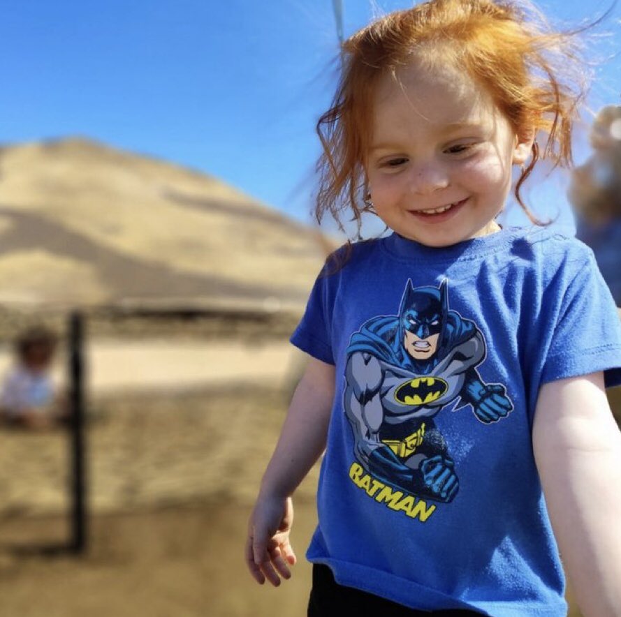 sol8358's tweet image. En souvenir des obsèques de Ariel, Kfir et Shiri Bibas 🙏🥲