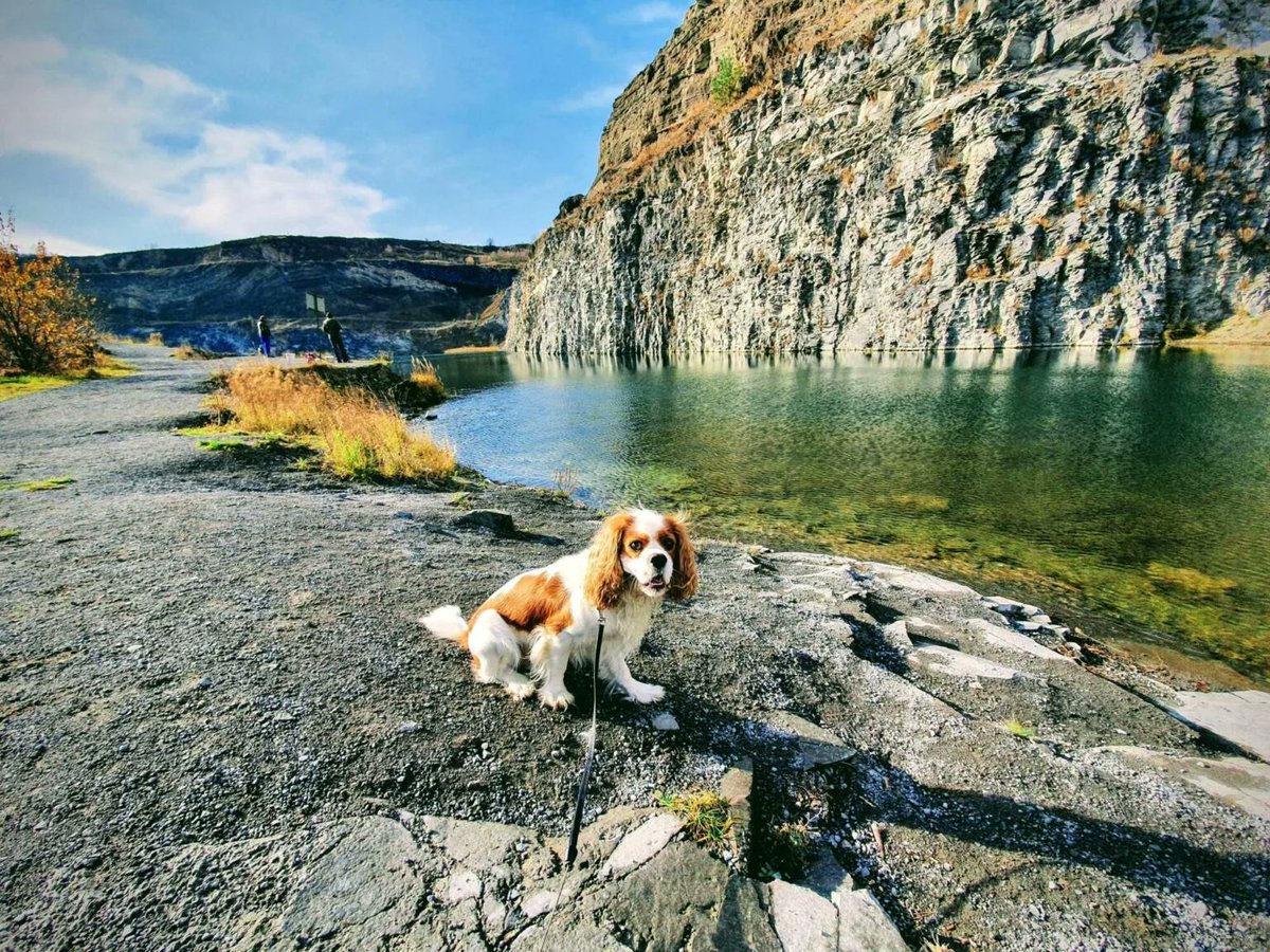 RJonTourUK tweet media