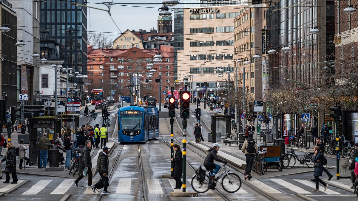 F. P. Cheng tweet media