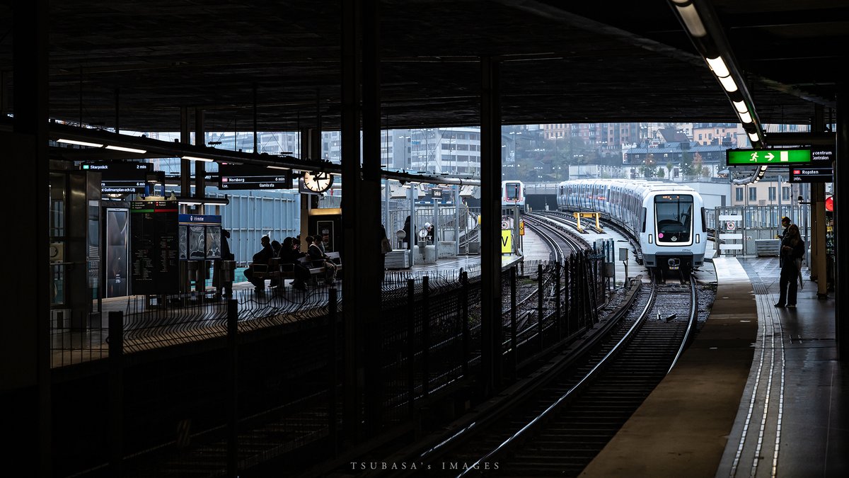 F. P. Cheng tweet media