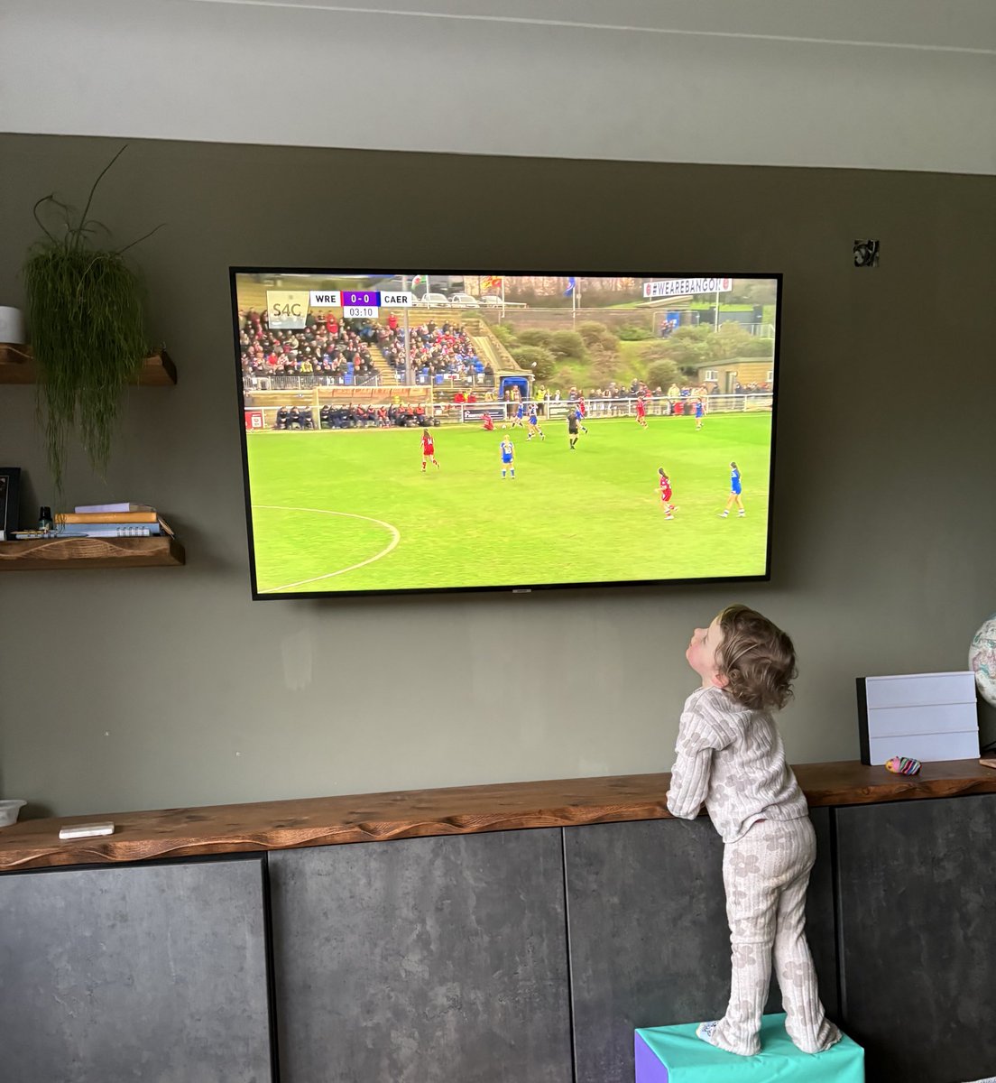 Phoebe Davies tweet media