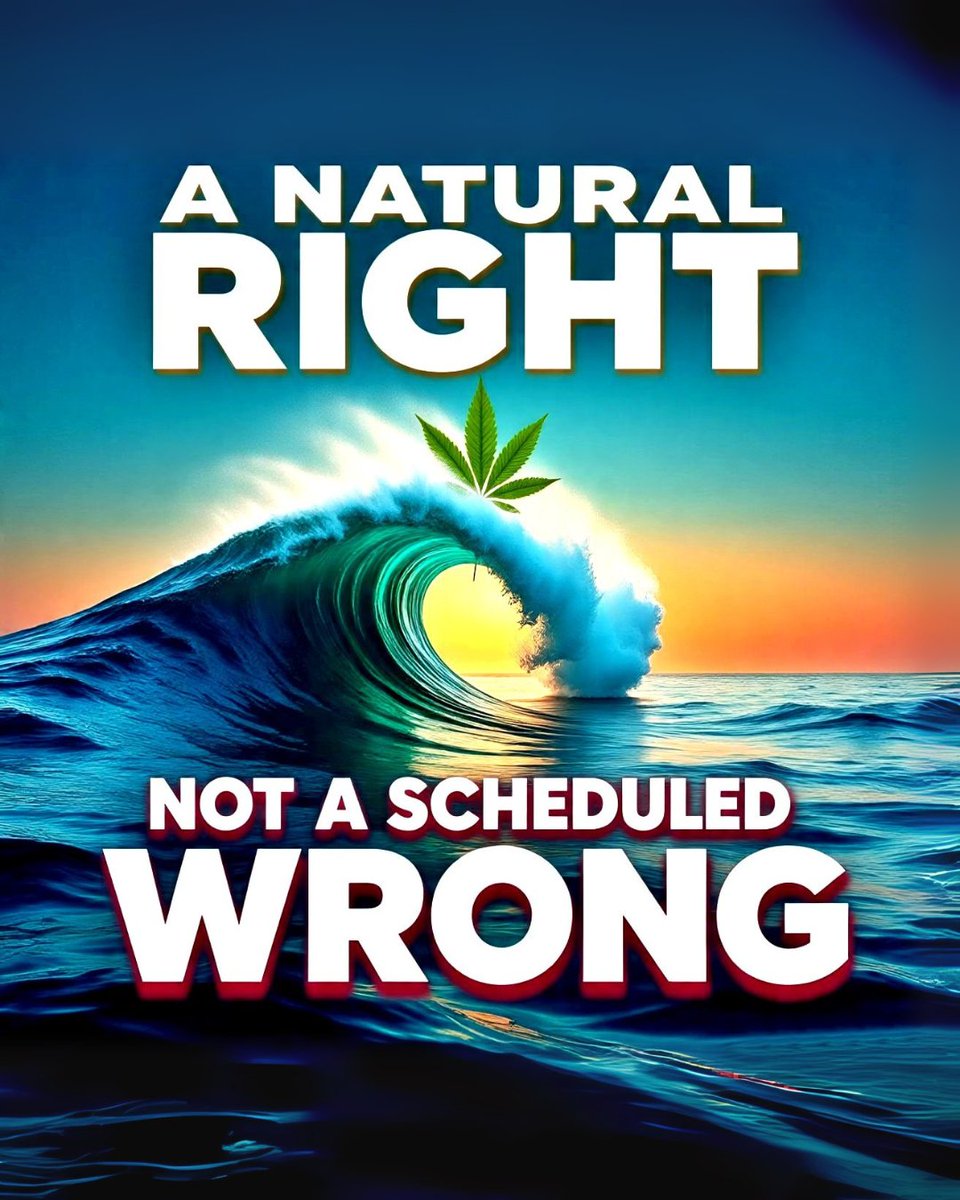 chha2020's tweet photo. The idea of cannabis as a 'scheduled wrong' has caused too much harm. It's a natural plant, and advocating for it is a natural right. The tide is turning on old narratives. Let's ensure true equity and access for everyone impacted by these outdated laws. #RightTheWrong #DescheduleToday #DescheduleCannabis