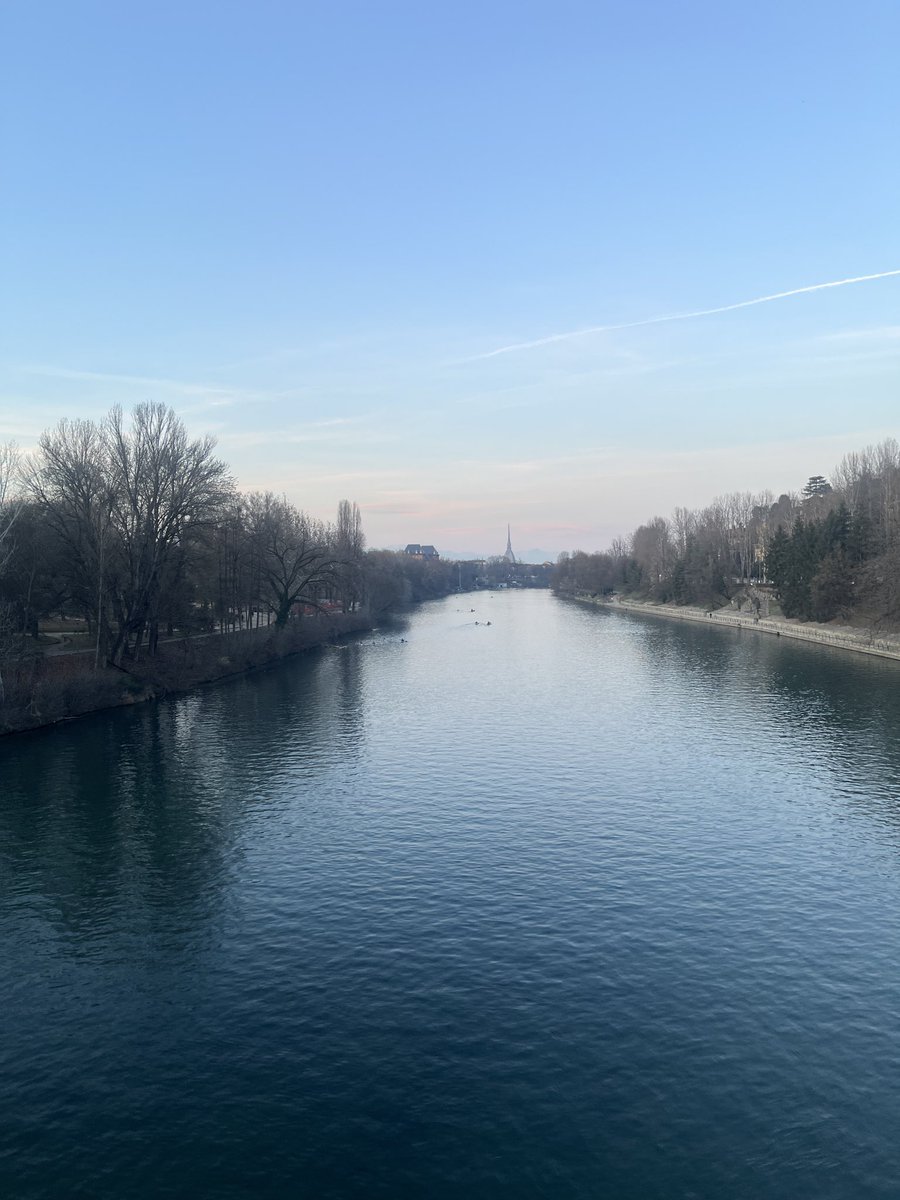 Wert Laboratory tweet media