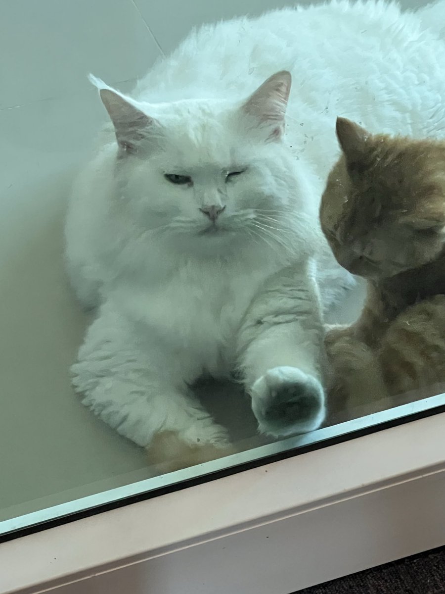 Magnum 🦒🍦《 ARP 》"ร้าว" OUT NOW!!! (@magnum_arp) on Twitter photo 