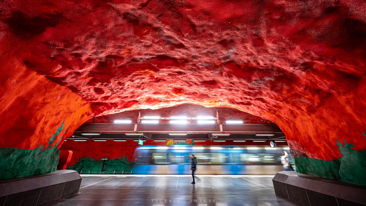 F. P. Cheng tweet media