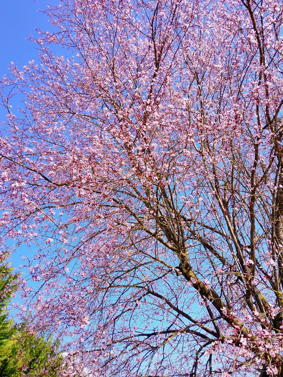 loris fratarcangeli tweet media