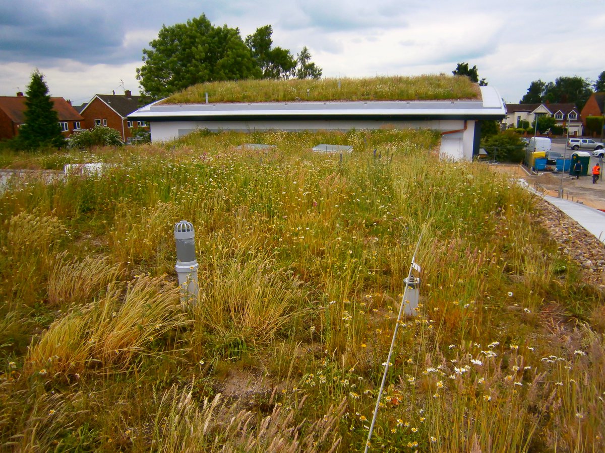 OPTIGRUN GREENROOFS tweet media